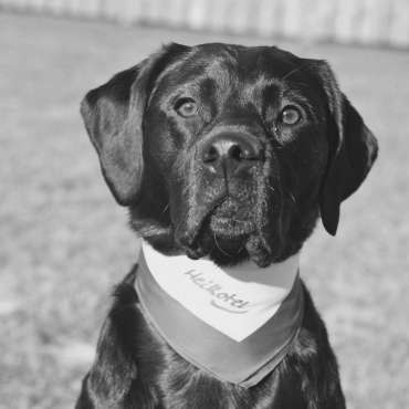 Heikotel Hotel Windsor Jule Living Secruirty System 2 1 Heikotel Hotel Windsor Jule Living Secruirty System 2 1